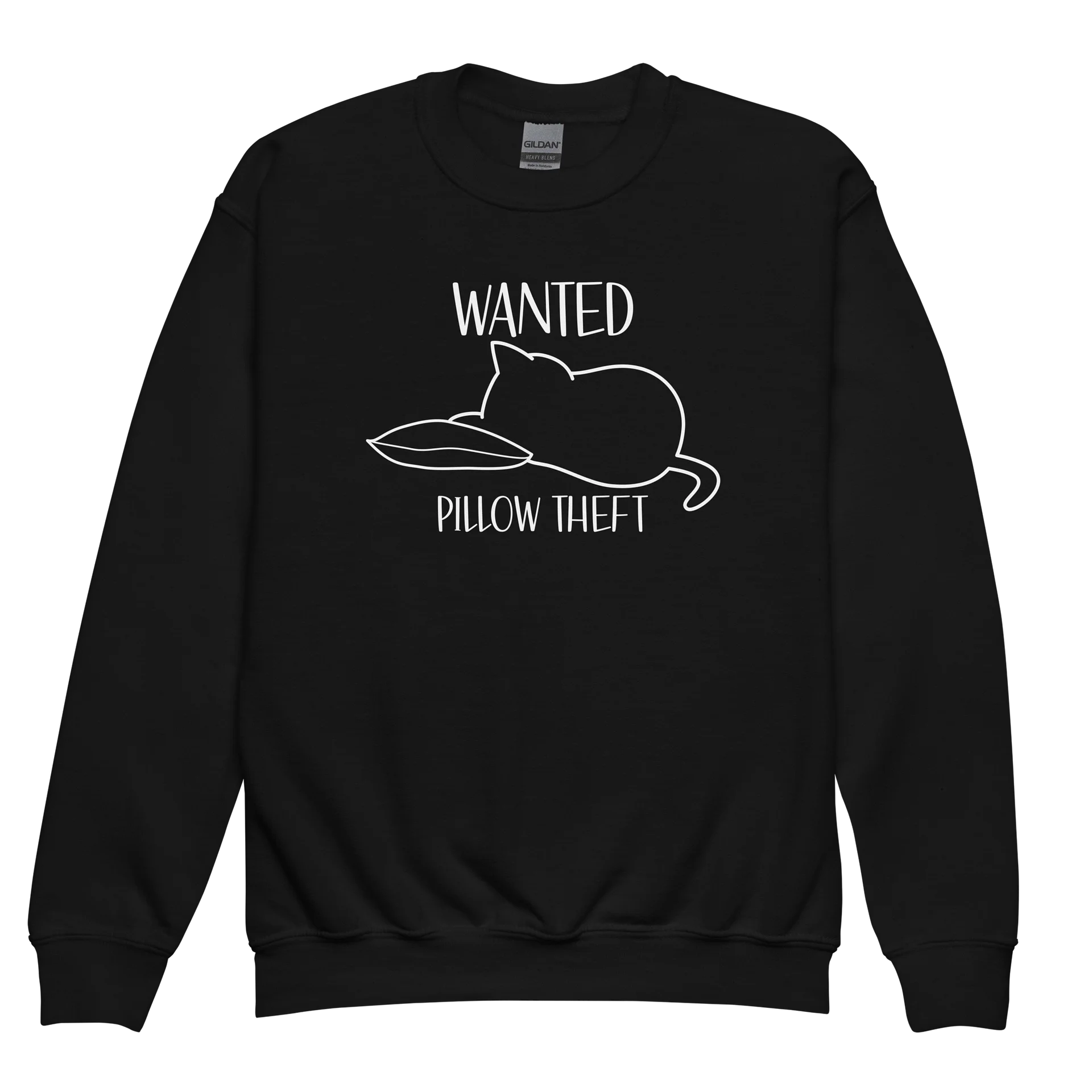 Wanted (Pillow Theft) - Unisex Youth Sweatshirt product image (1)