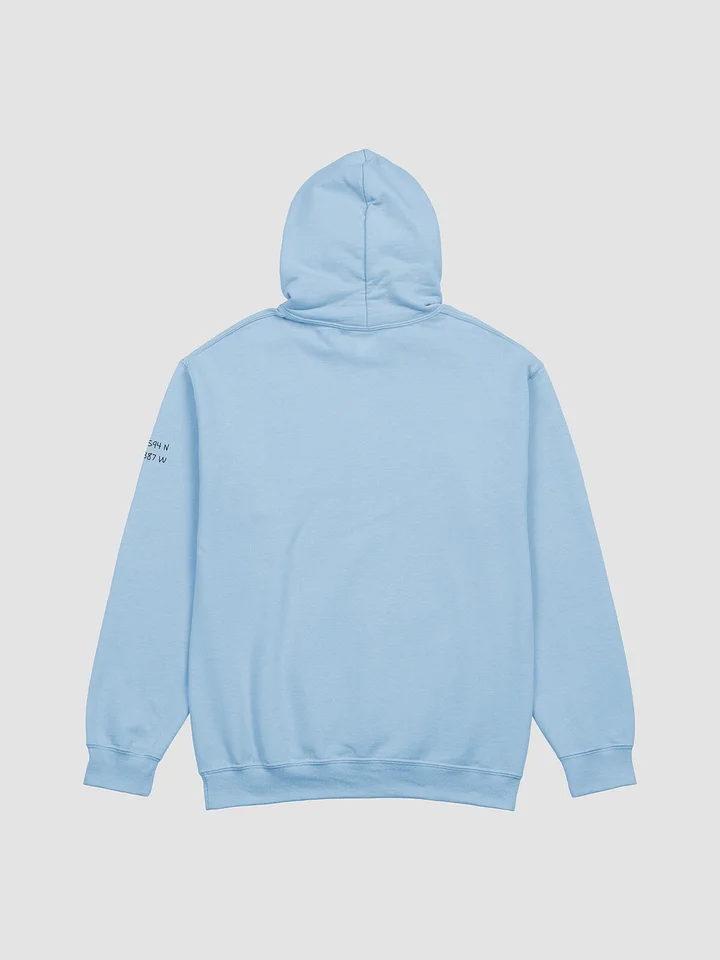 Alle Wege führen nach Waldsee adult hoodie (multiple colors) product image (2)