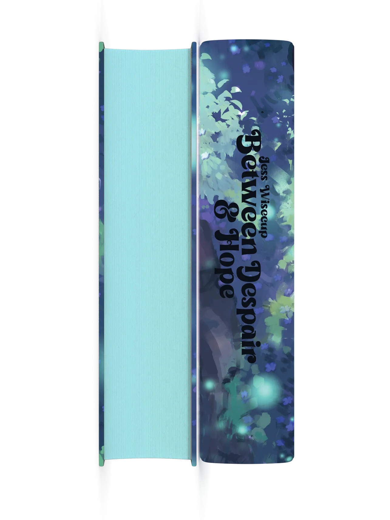 Between Despair and Hope Special Edition product image (2)