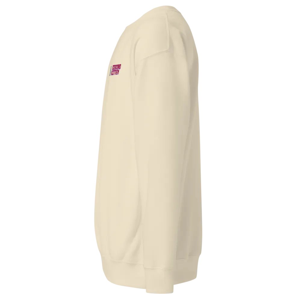 Discord Kitten ∙ Embroidered Sweatshirt product image (7)
