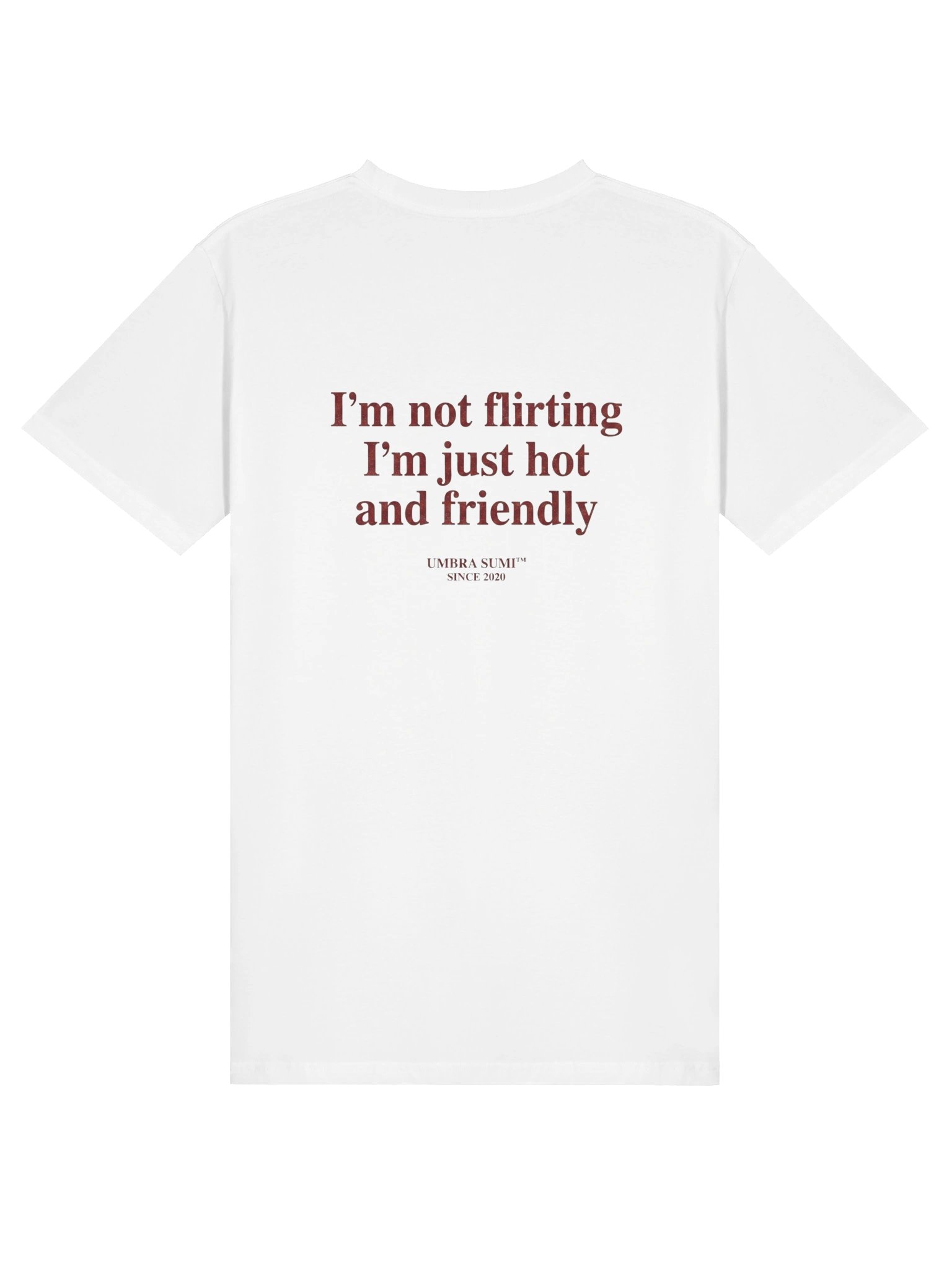 I'm Not Flirting I'm Just Hot and Friendly Funny T-Shirt product image (1)