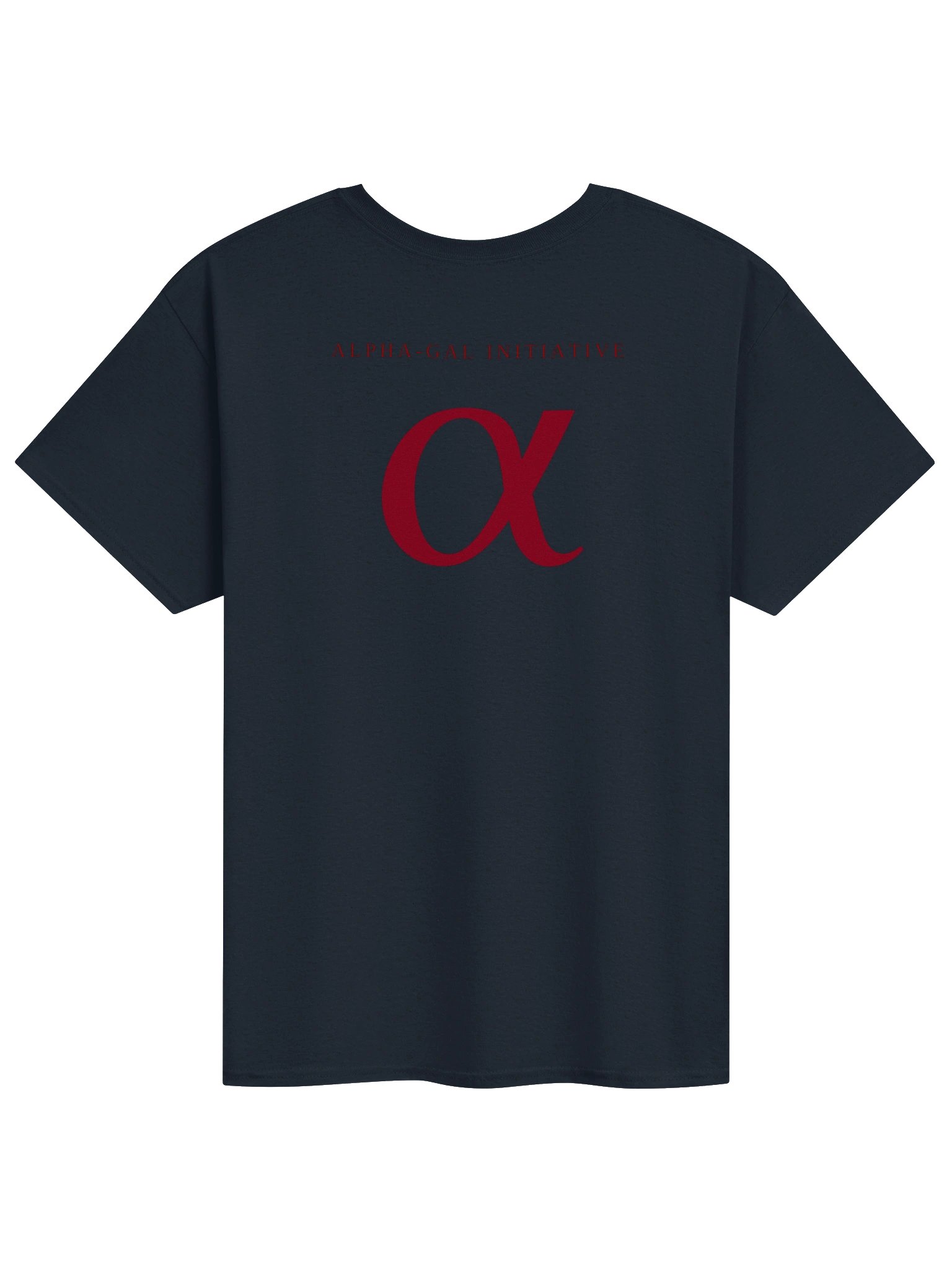 Navy / Oxblood Unisex Heavyweight T-Shirt product image (2)