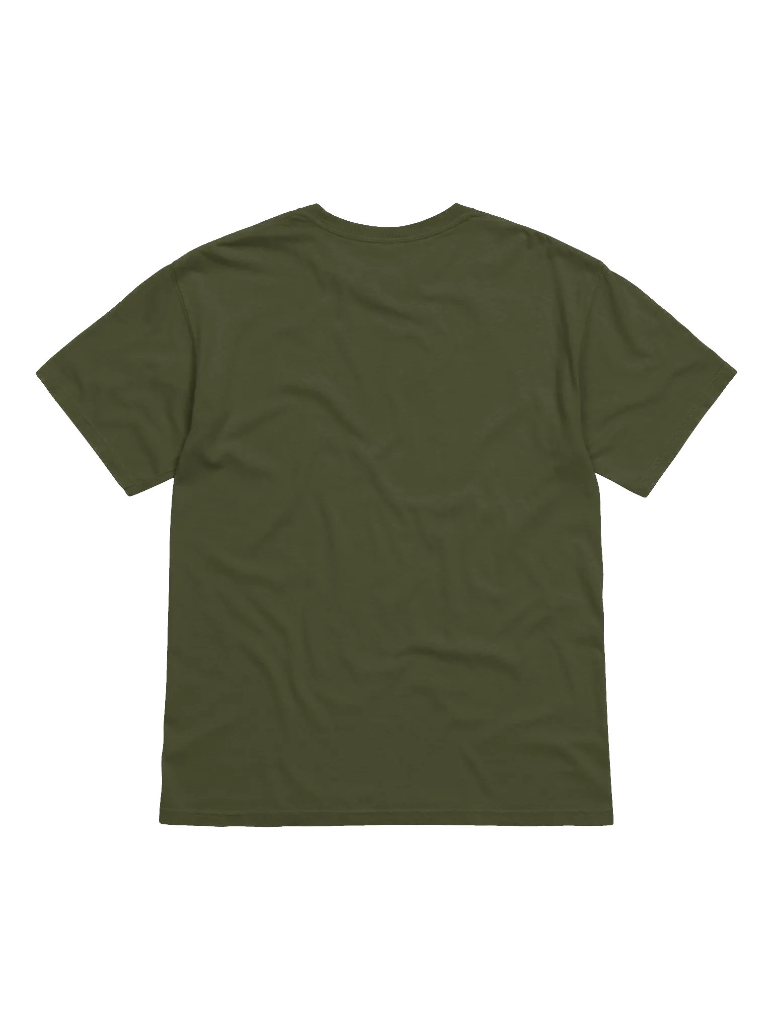 Wildhook Adventures - Comfort Tee Printed Logo product image (34)