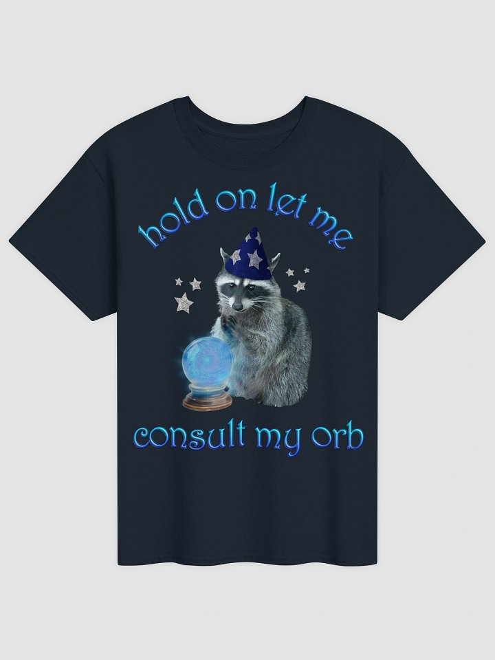 Let me consult my orb - wizard raccoon t-shirt product image (2)