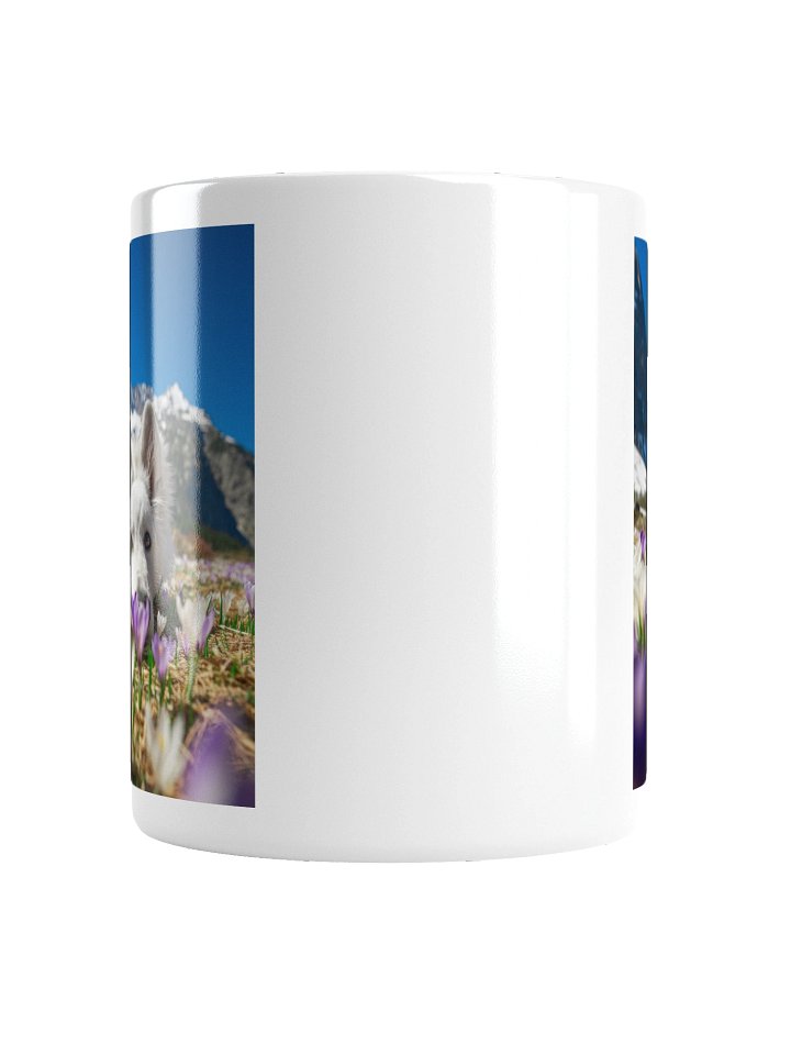 Lil Rasta in the crocus field product image (5)