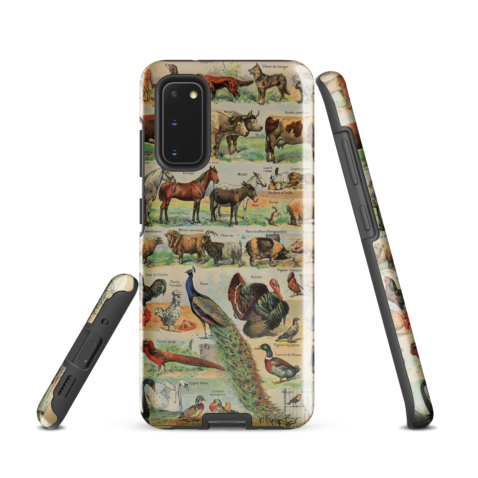 Vintage Animal Chart Samsung® Tough Case product image (4)