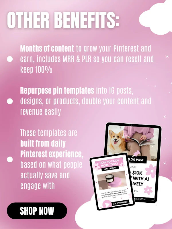 MRR/PLR Pinterest Templates for Digitals product image (8)