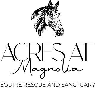 Magnolia Equine Rescue and Sanctuary