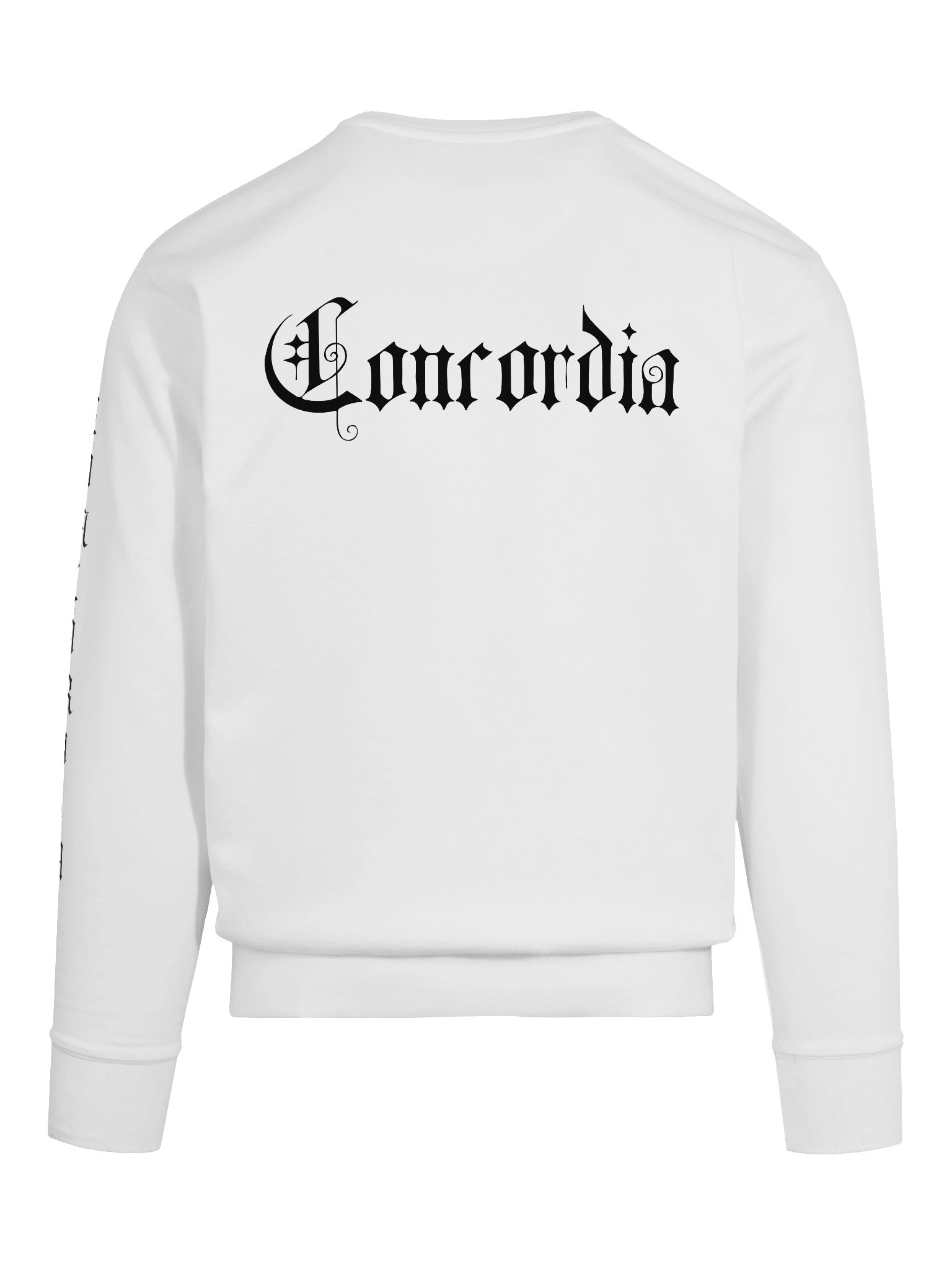 College Sweater - Minimalst product image (8)