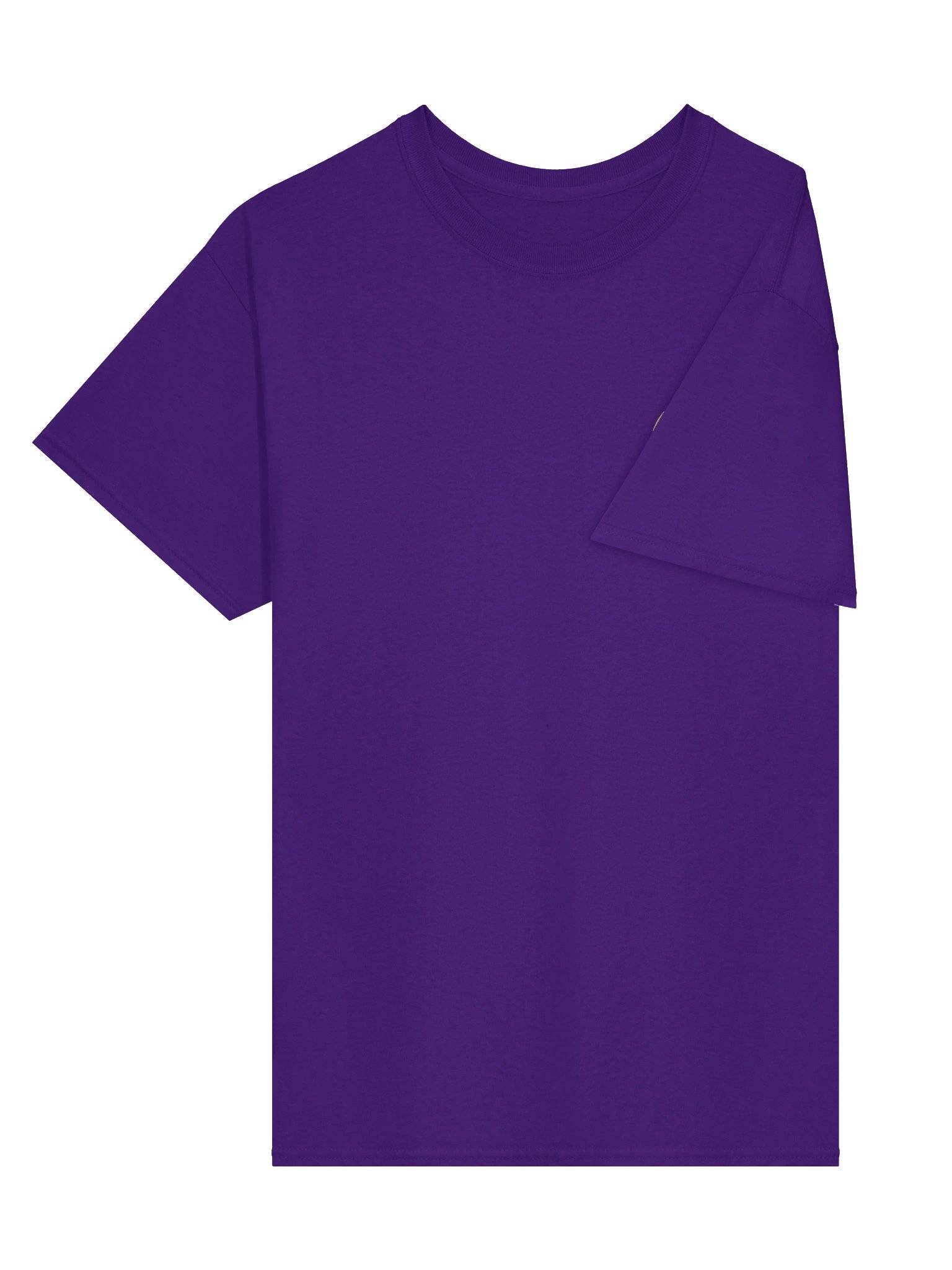 Official Logo Shirt product image (3)