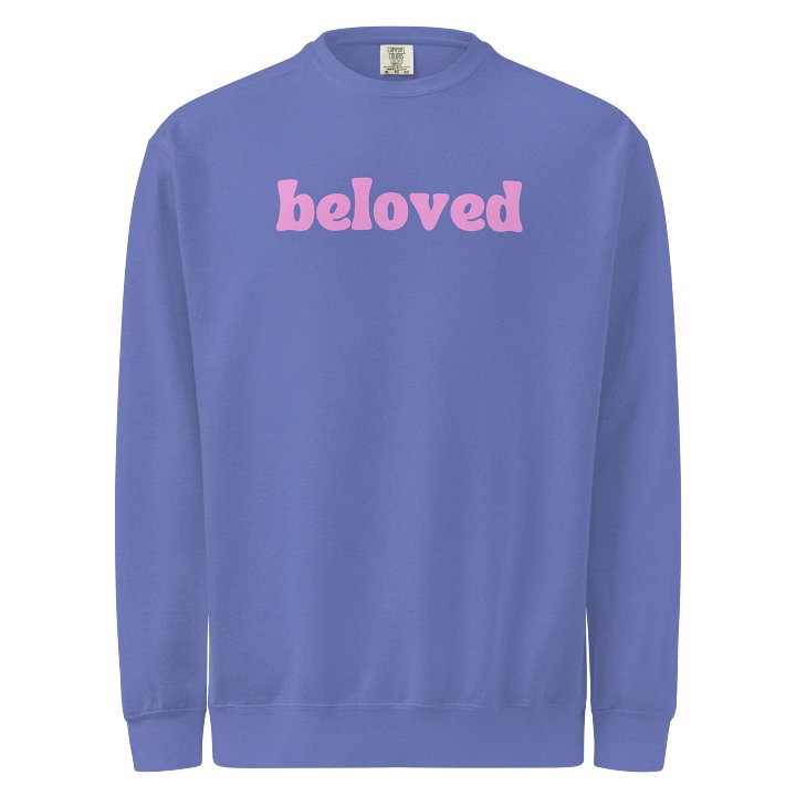 the beloved sweatshirt product image (1)