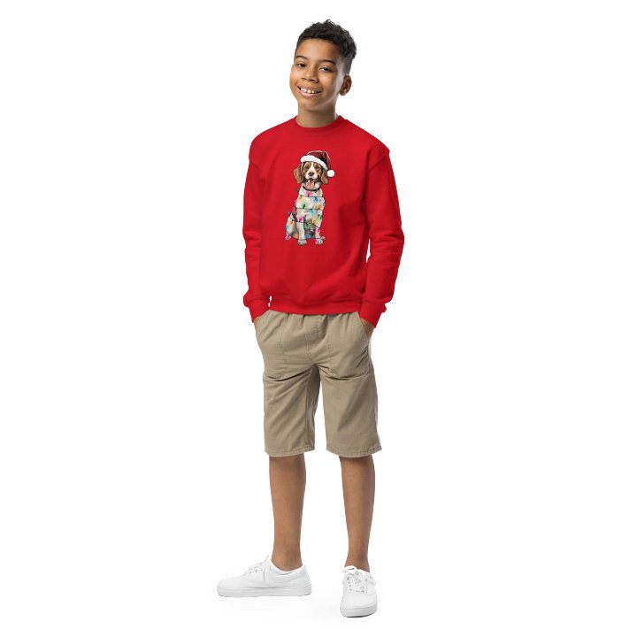Funny Christmas Boykin Spaniel Youth Sweatshirt product image (1)