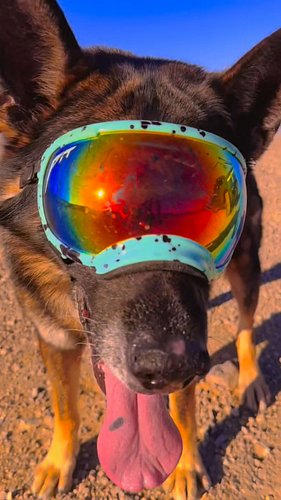 Trip of a lifetime for both Arlo and I. As he’s getting older my mission is to make sure he lives life to the fullest and get...