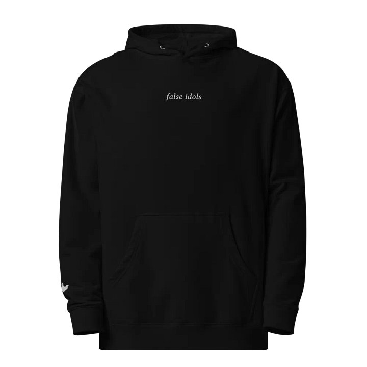 false idols embroidered midweight hoodie product image (1)