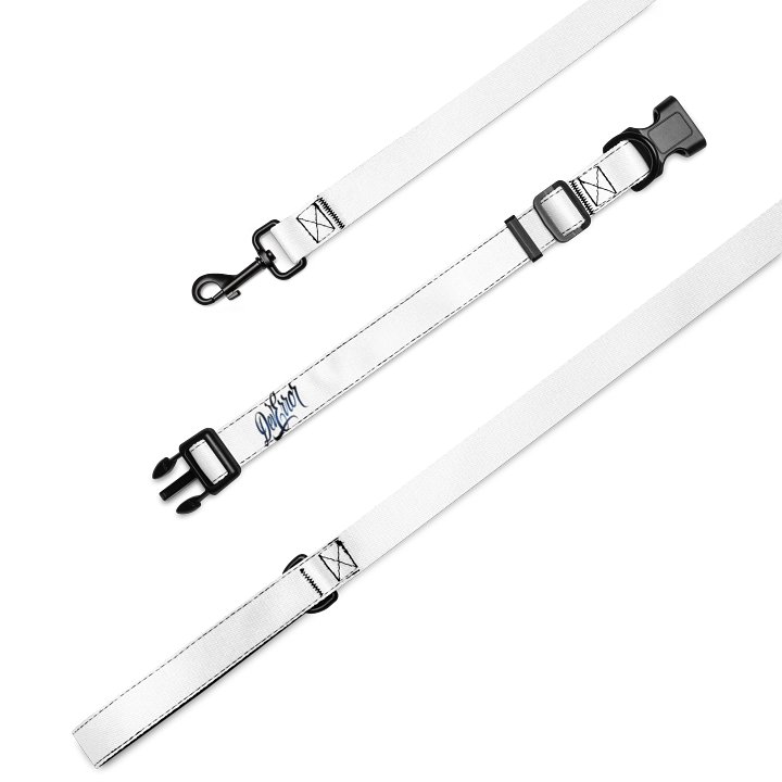 Pet Collar & Leash product image (2)