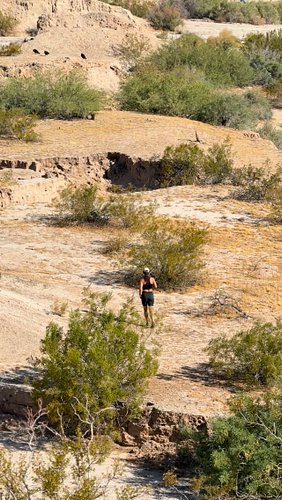 🏃🏃‍♀️🏃‍♂️🏝️🏜️🐫