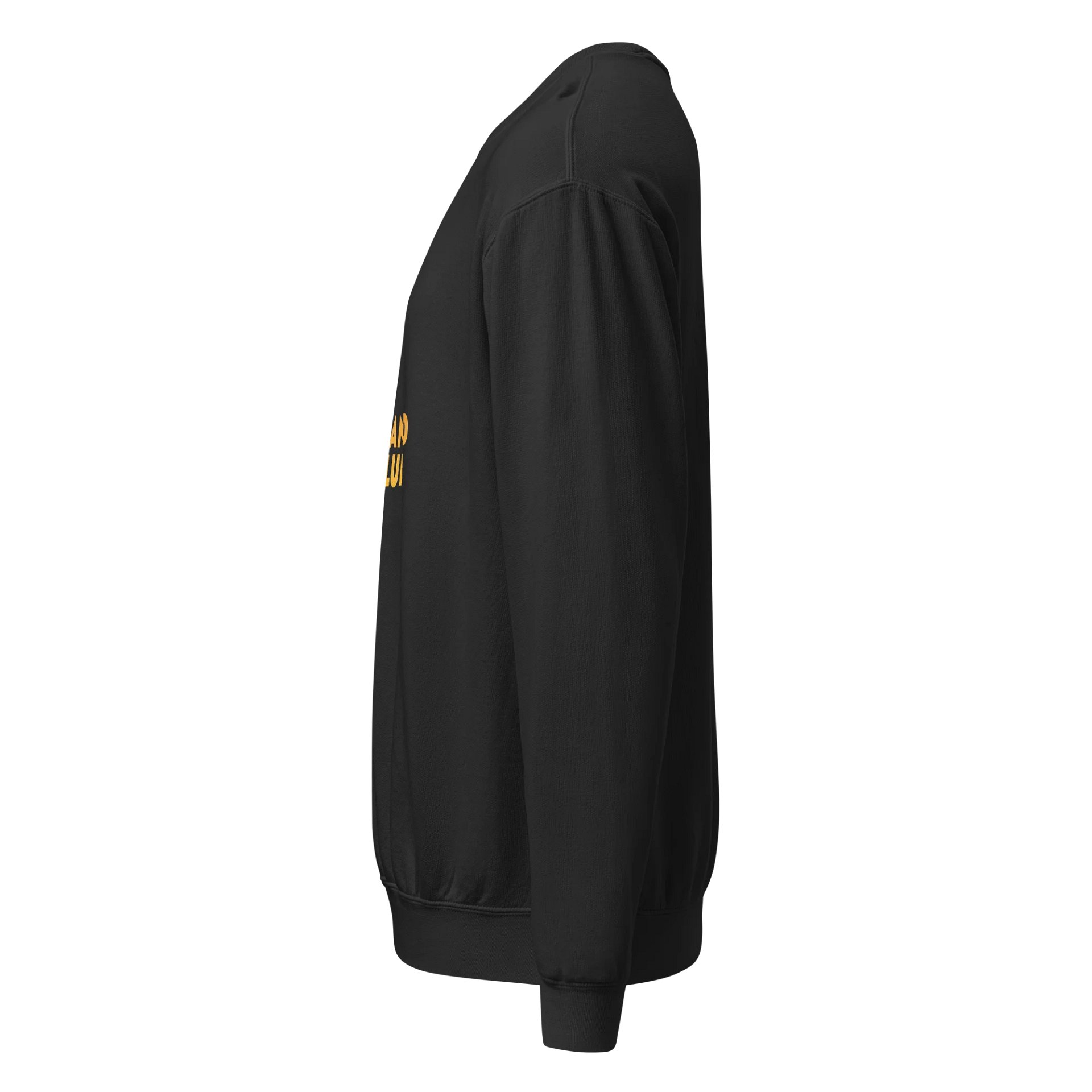 PSC Crew Sweatshirt product image (7)