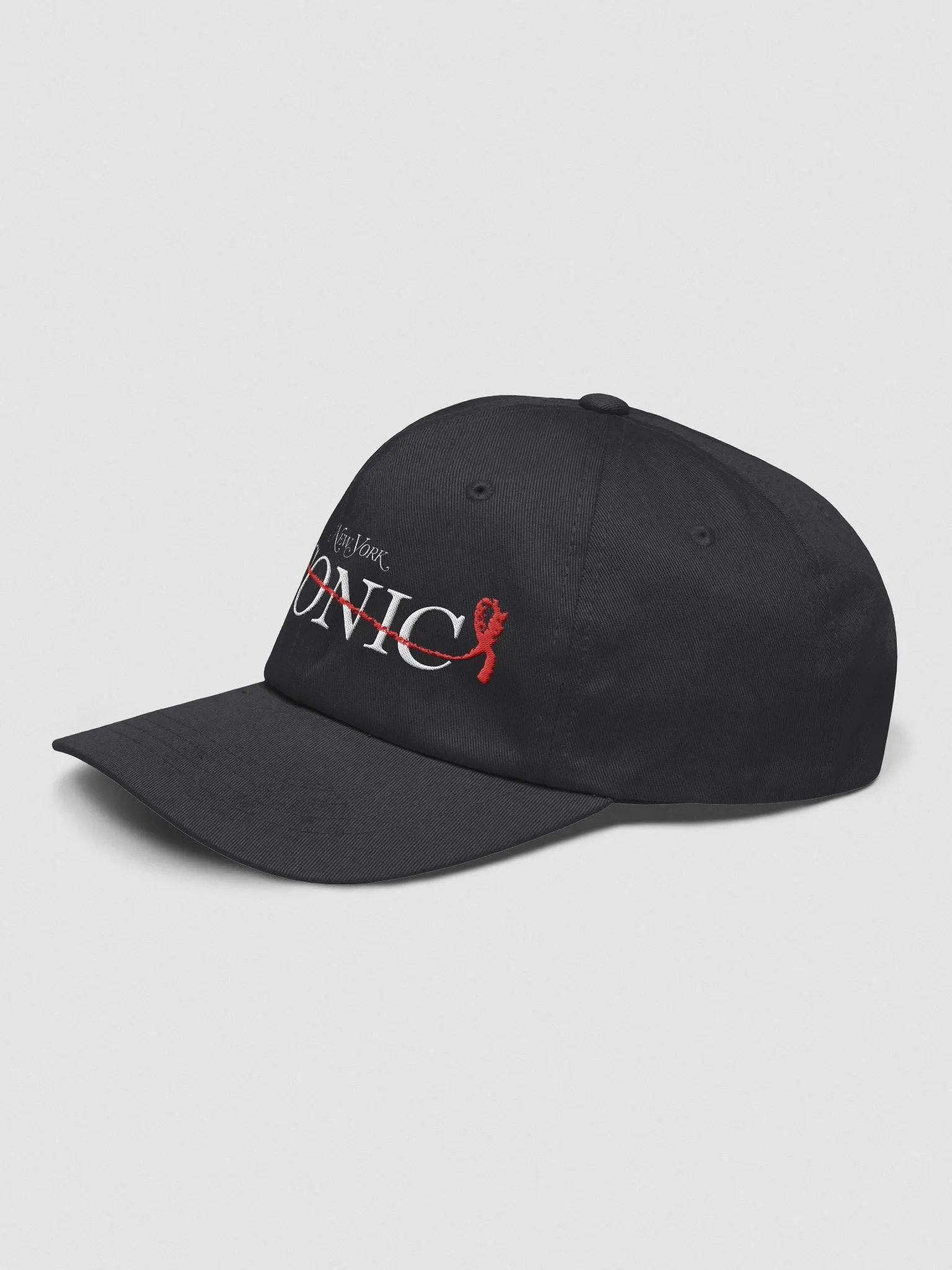 Queries ICONIC Baseball Cap product image (3)
