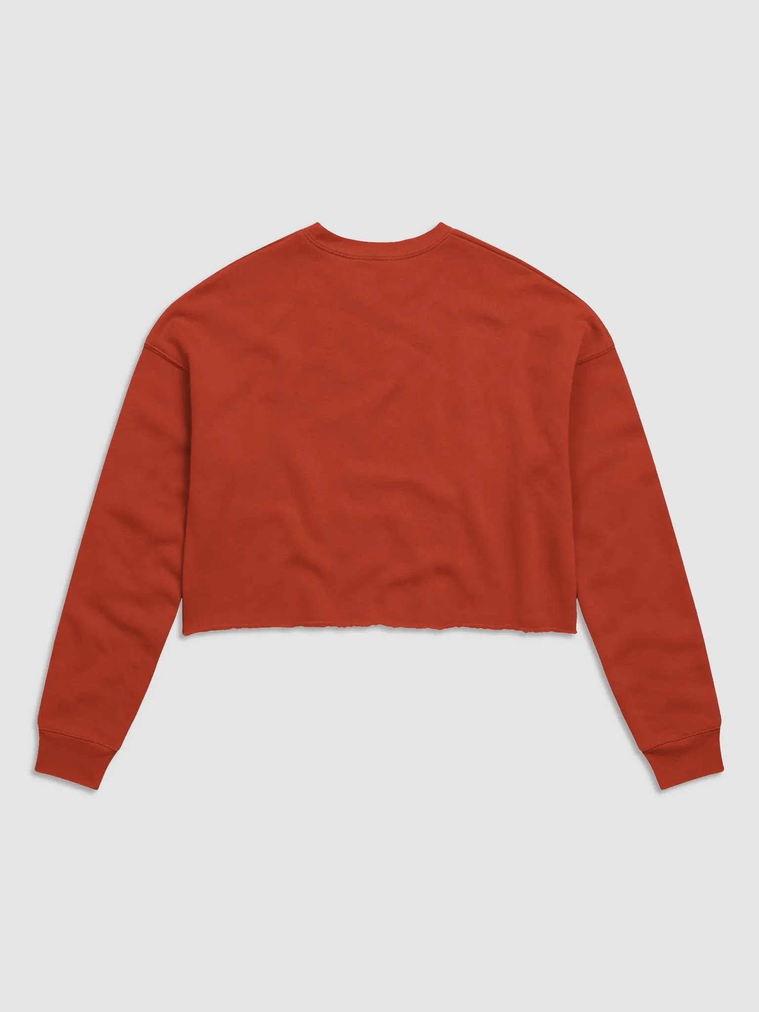 RARE crop Sweatshirt product image (6)