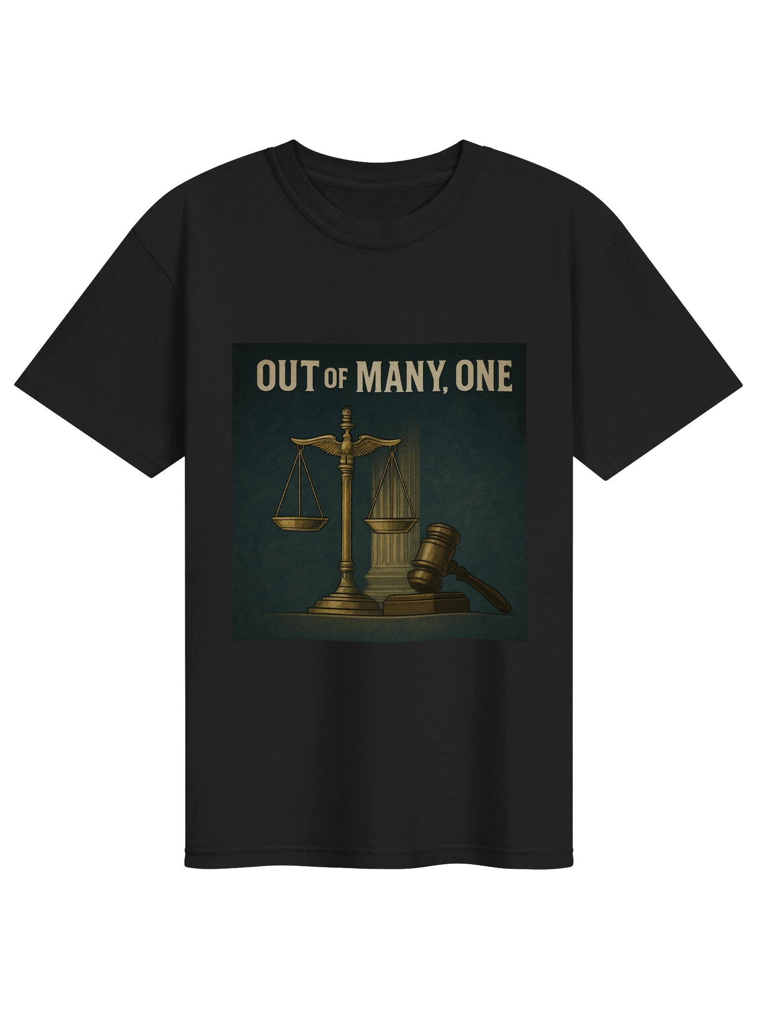 Out of Many T-Shirt product image (8)