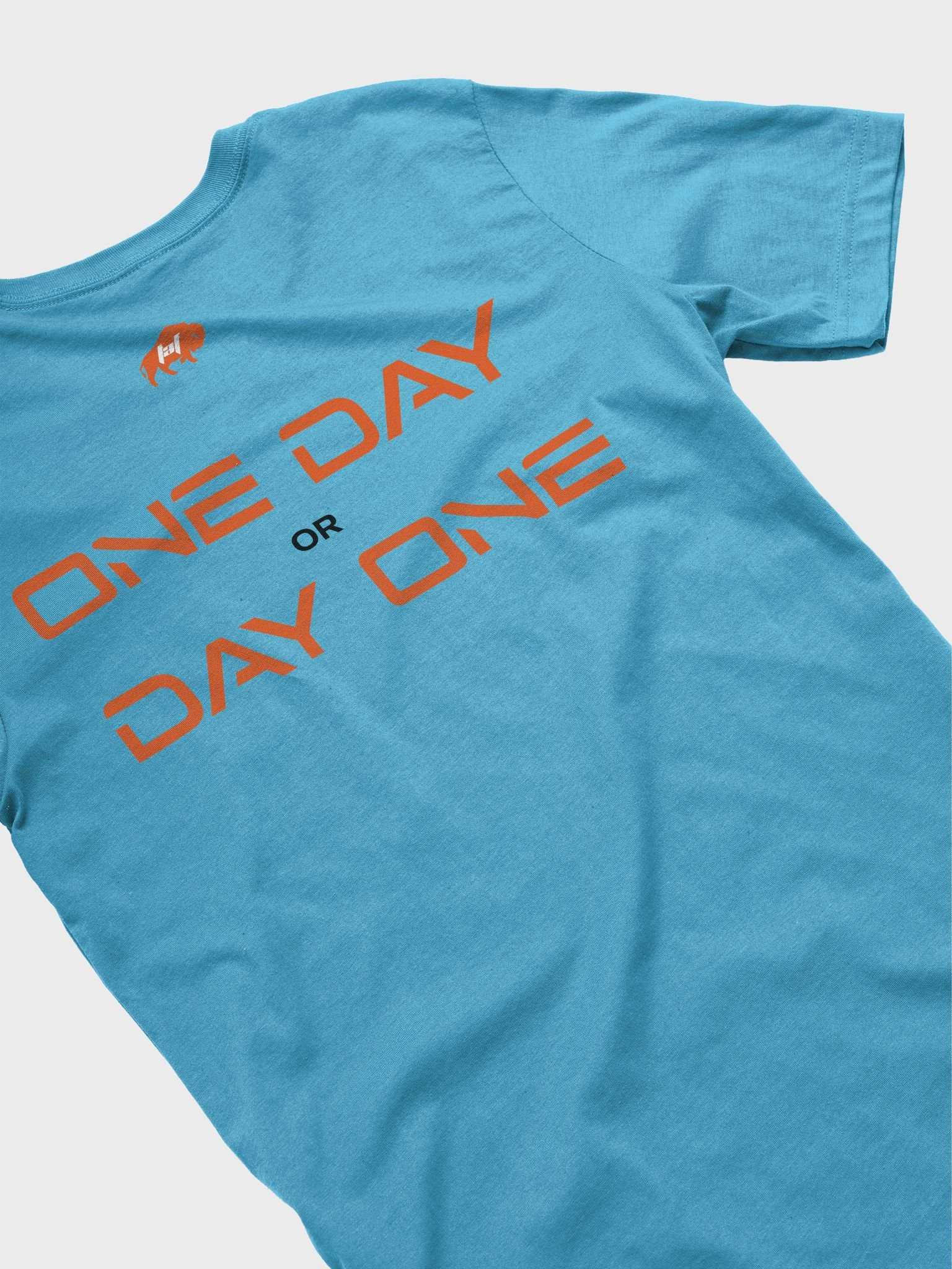 One Day or Day One Tshirt product image (1)