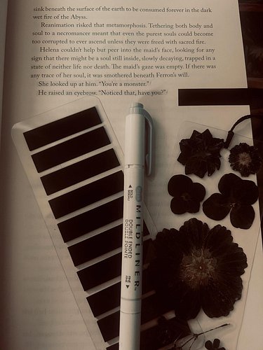 “You’re a monster.”
“Noticed that, have you?” 🖤✨

Dark books, dried flowers, and black tabs.. the perfect trio for my annotat...