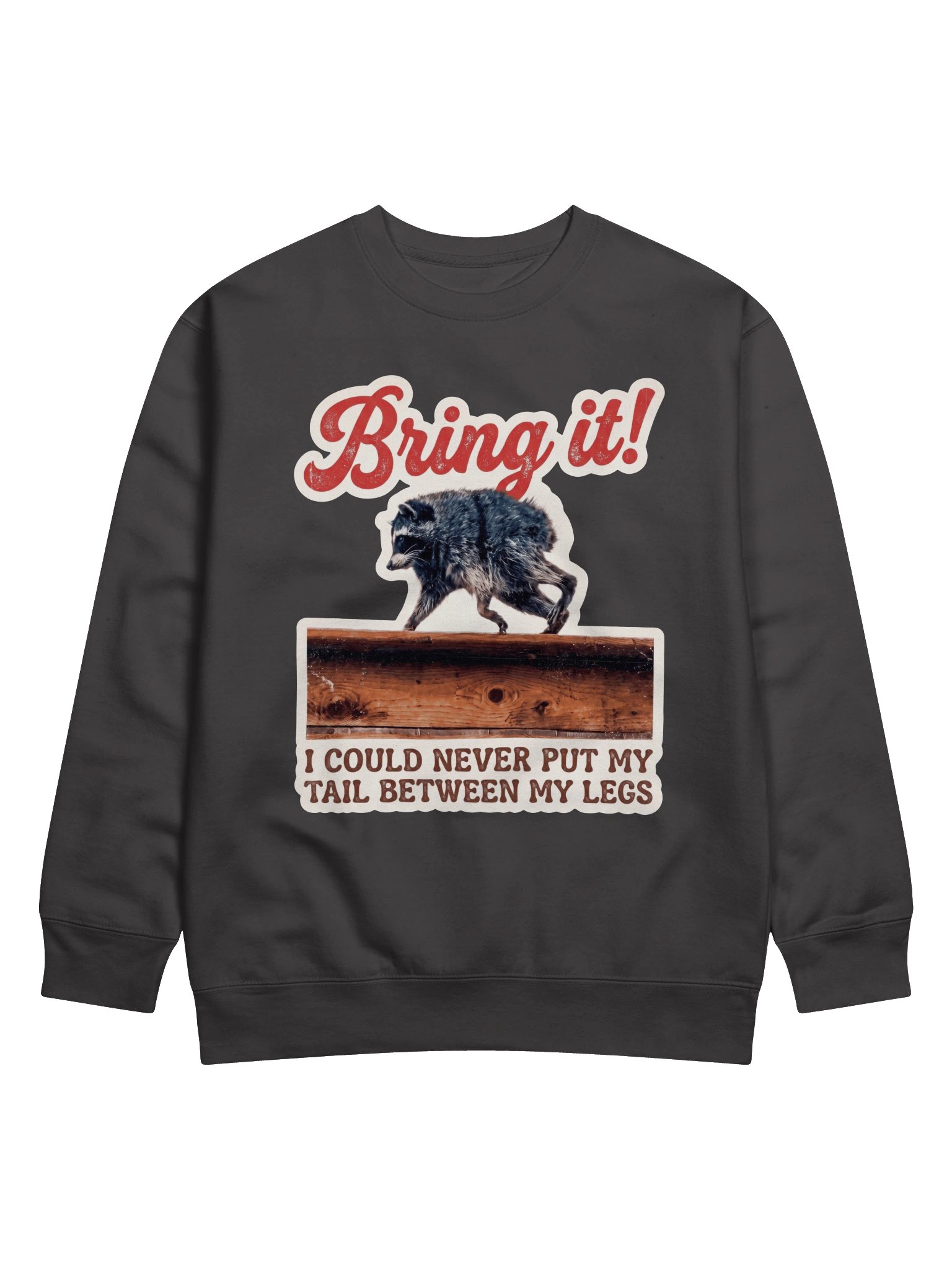 Bring it! Sweatshirt product image (7)