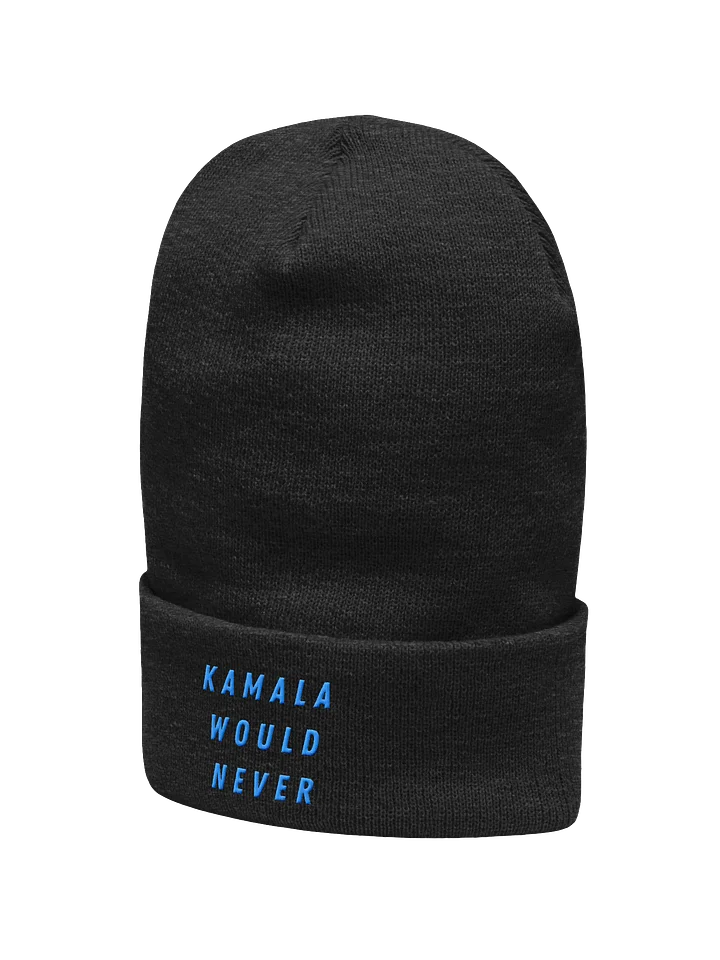 Kamala Would Never Beanie | Blue Print product image (2)