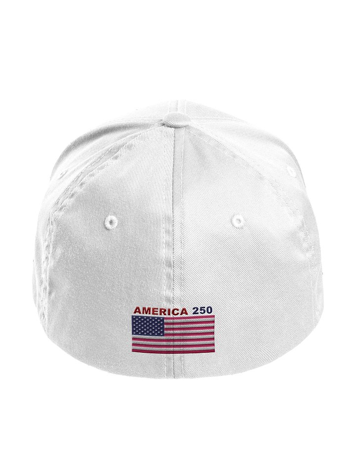America 250 Bald Eagle Edition Hat product image (30)
