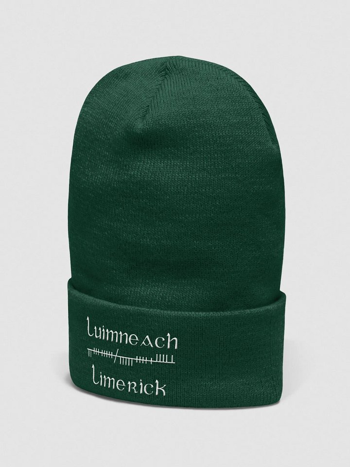 Limerick/Luimneach Orthodox Ogham, green with white, embroidered Cuffed Beanie product image (2)