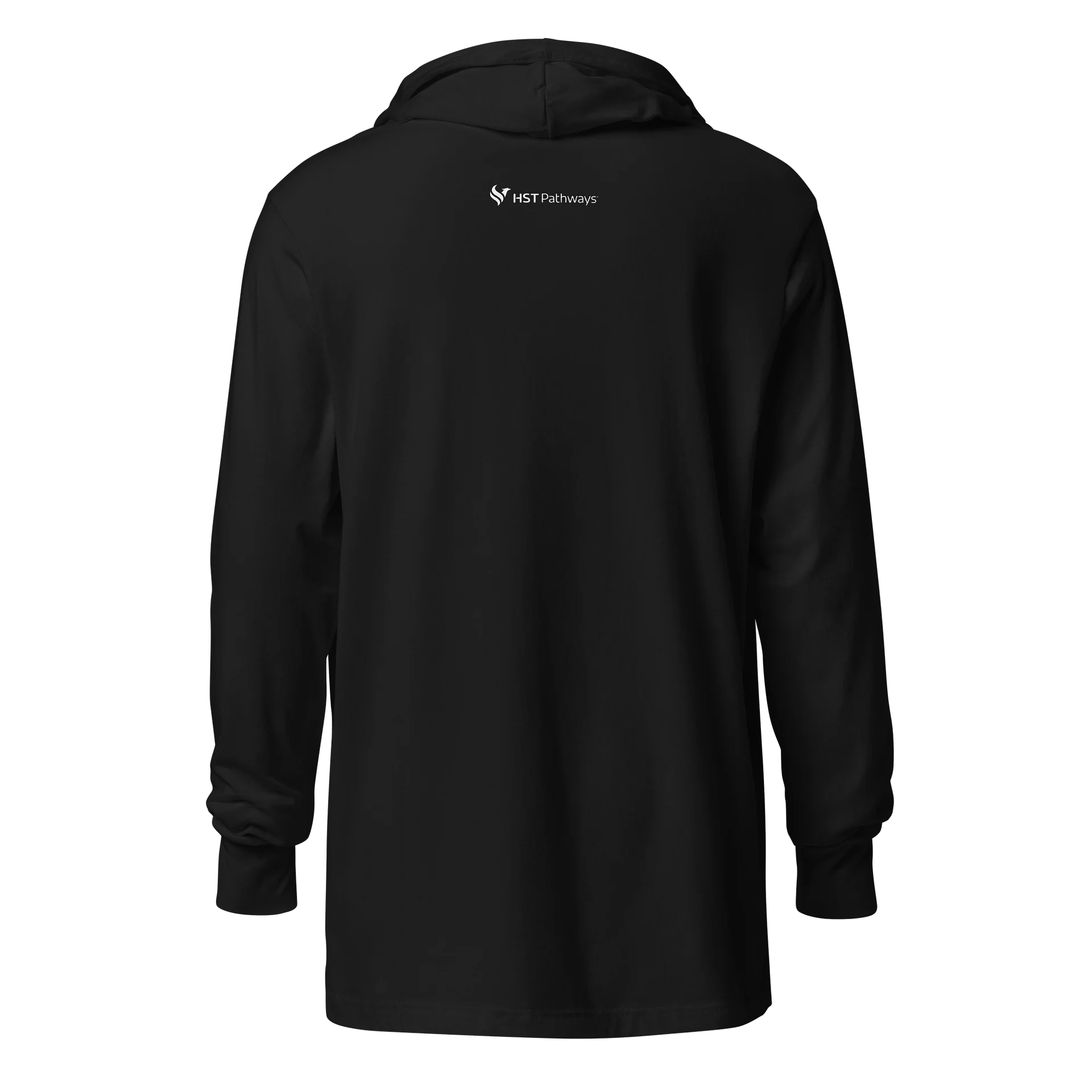 HST Pathways Bella + Canvas Unisex Hooded Long Sleeve Tee - Introverted product image (5)