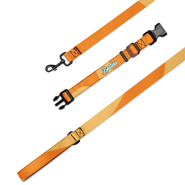 Besties Groovy Pet Collar & Leash Set product image (1)