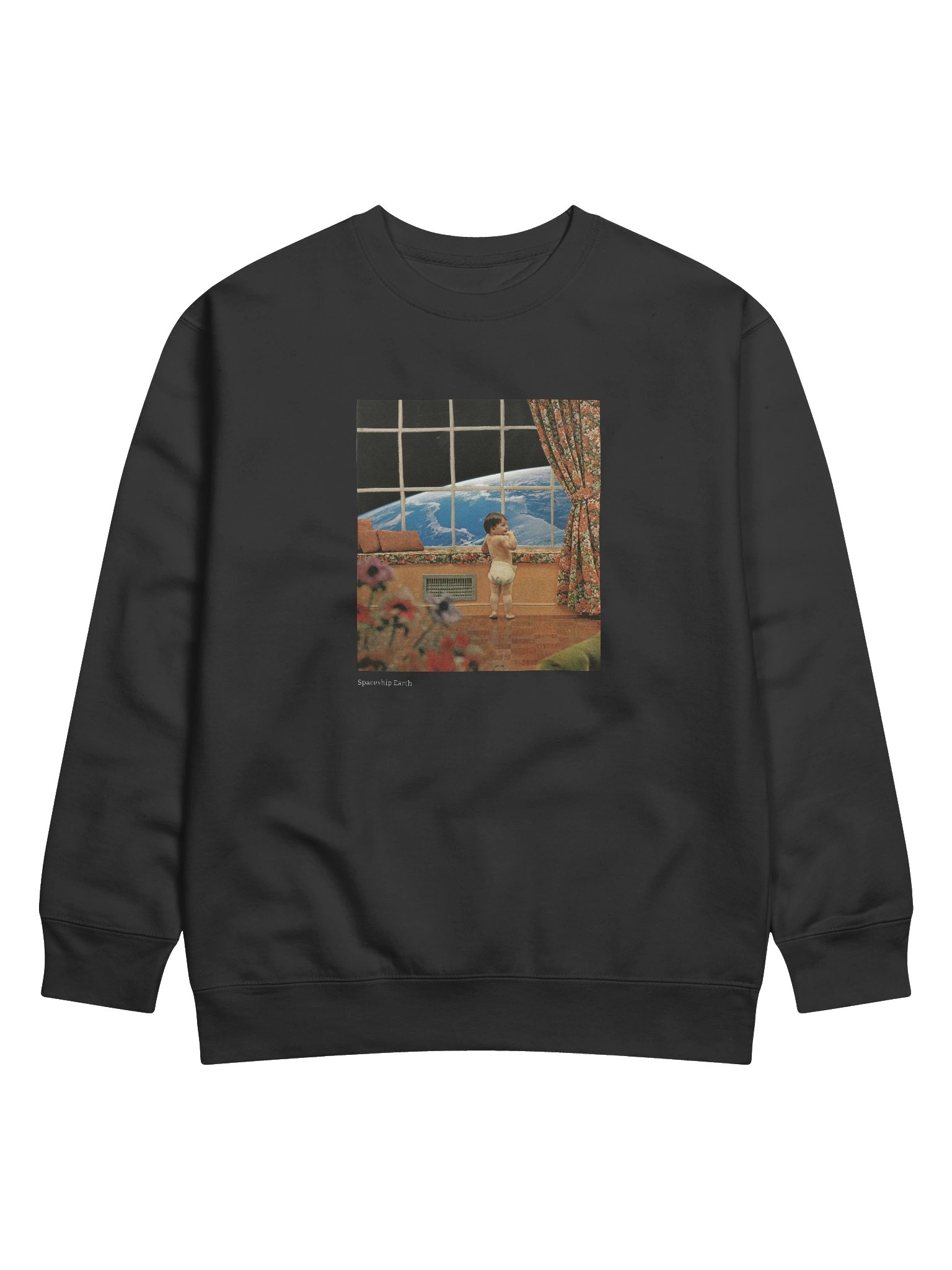 Spaceship Earth product image (3)