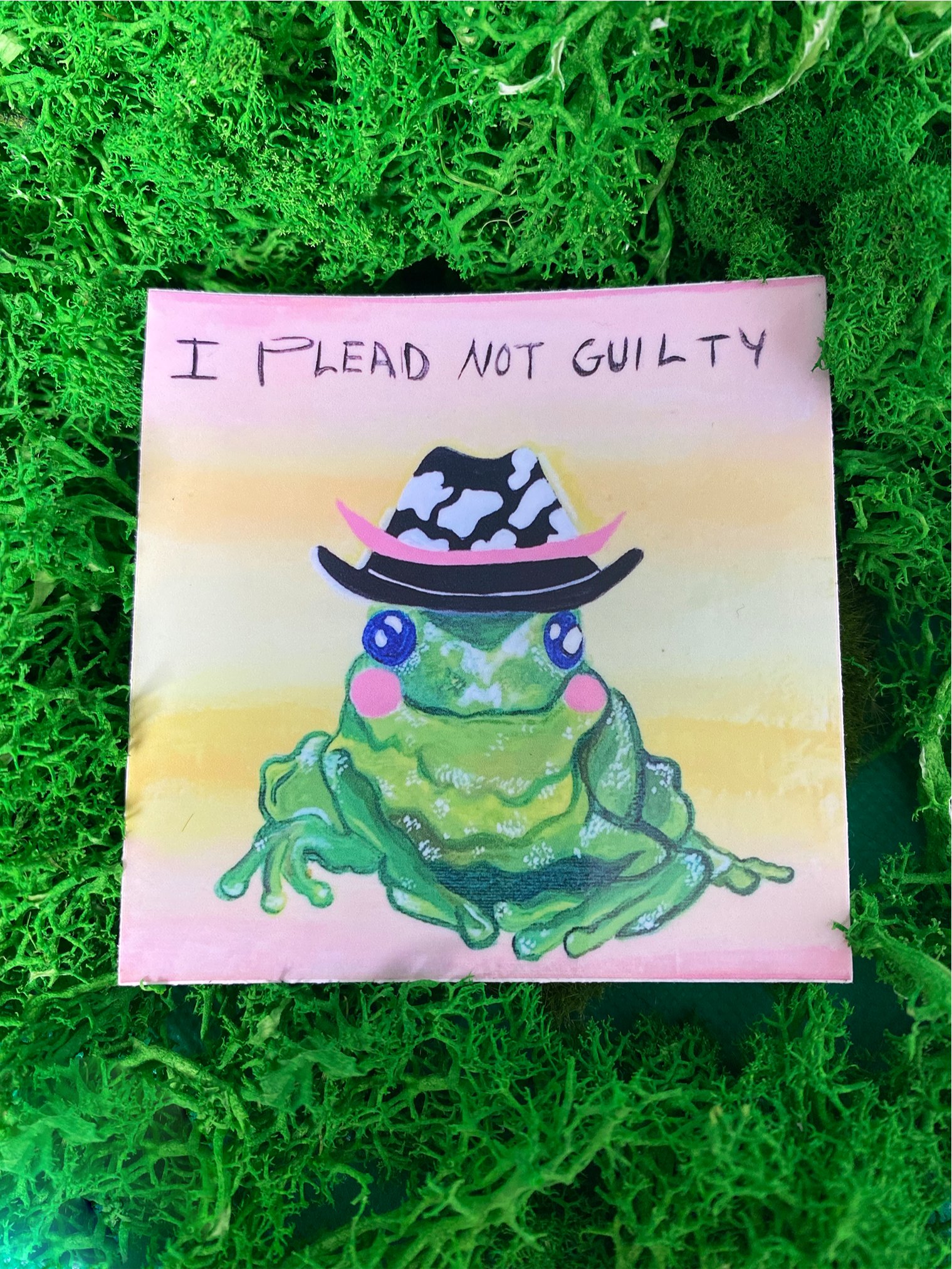 Not Guilty Frog product image (1)