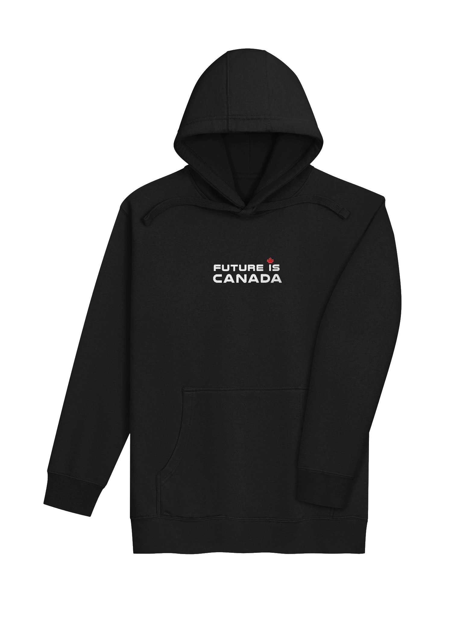 Future is Canada - Embroidered Hoodie product image (4)