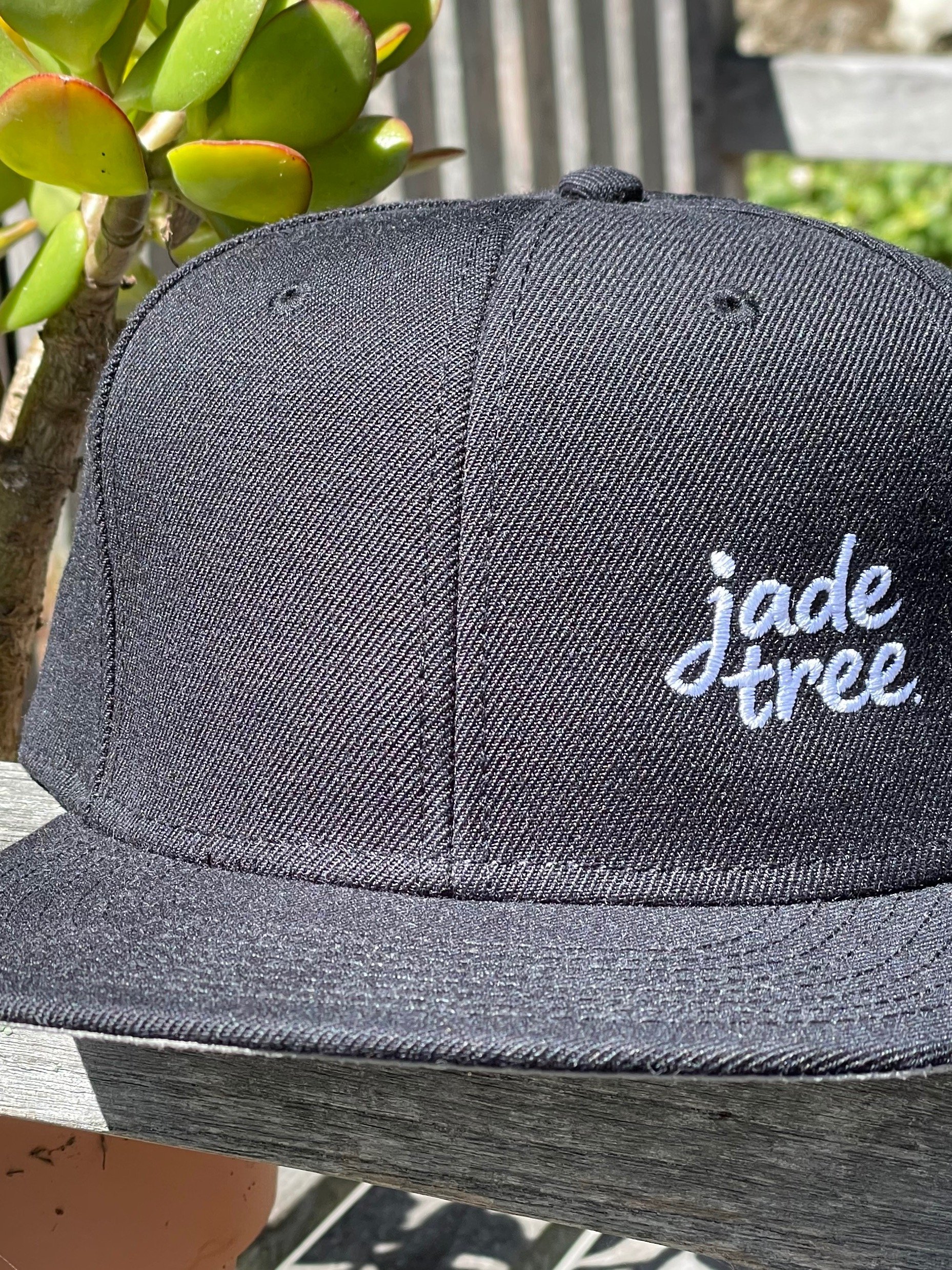 Snapback Cap product image (1)