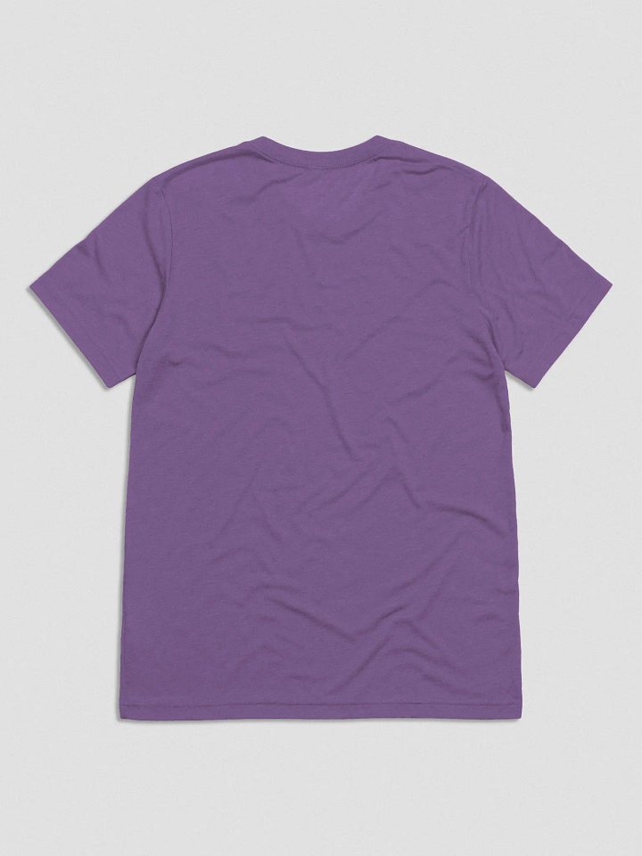 The Streaming Collective - Bella+Canvas Triblend Short Sleeve T-Shirt product image (24)