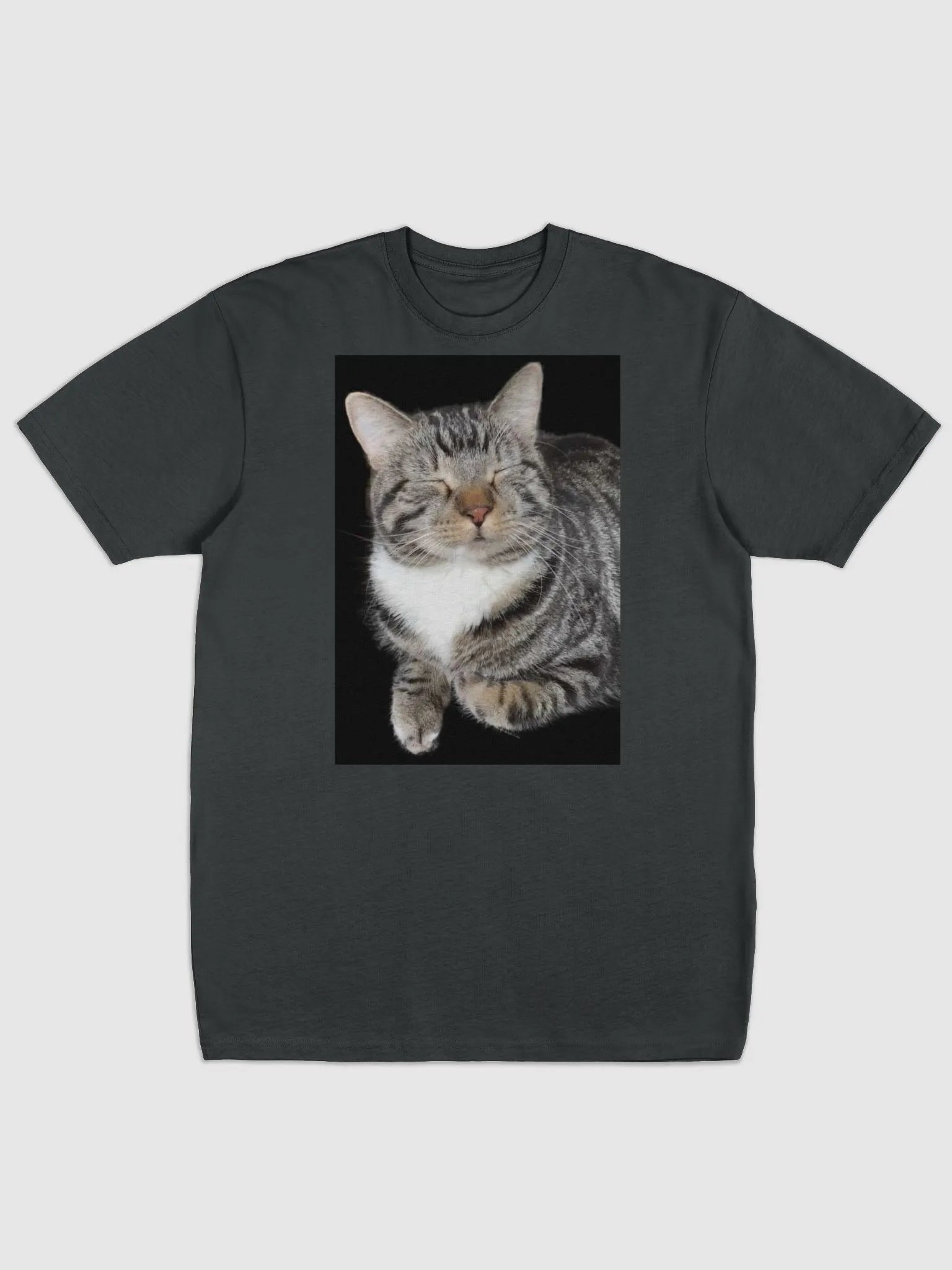 Scooter Cat product image (1)