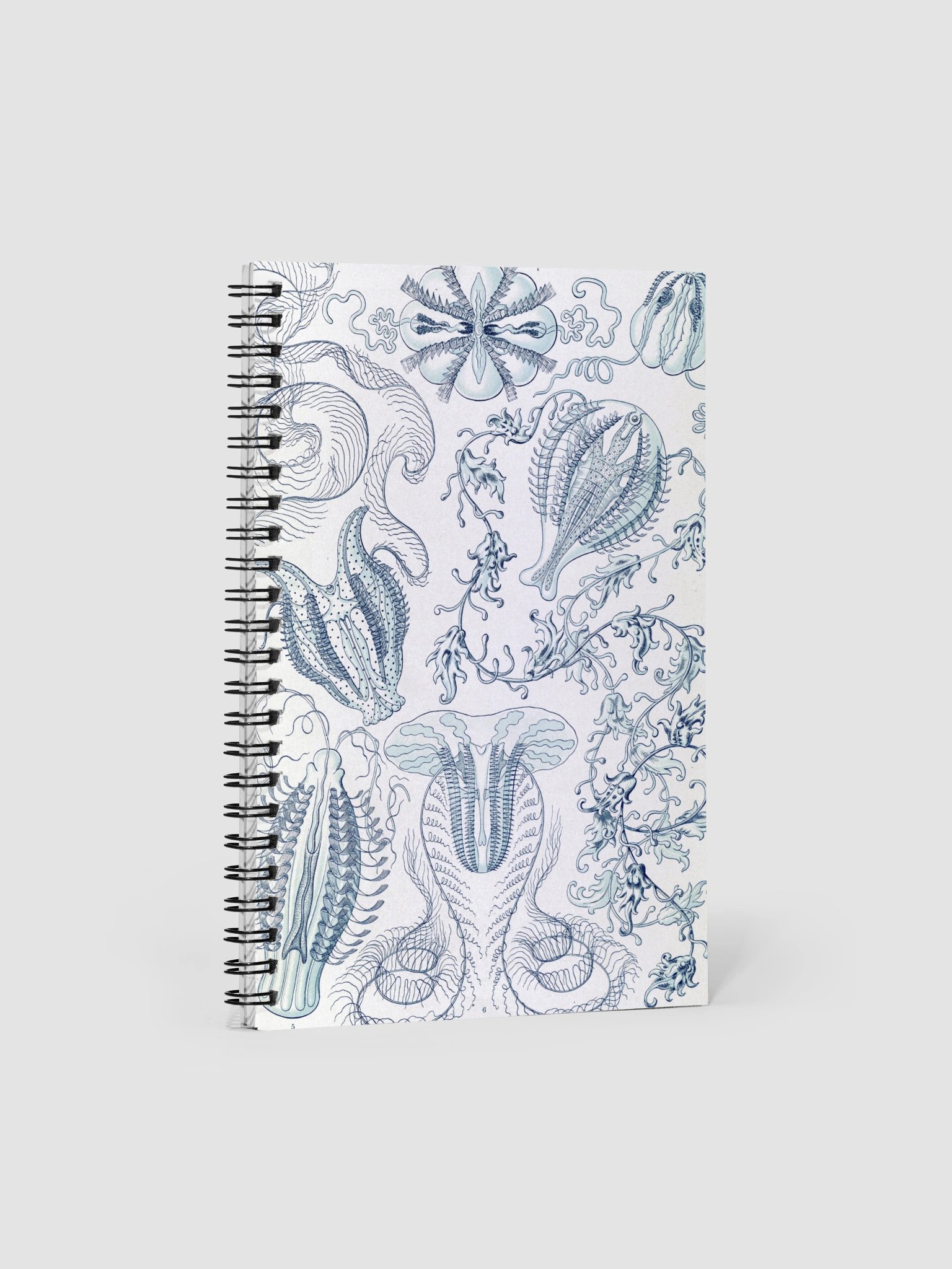 Comb Jellies Vintage Marine Biology Notebook product image (1)
