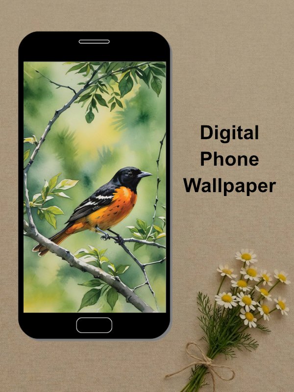 Baltimore Oriole Phone Wallpaper product image (1)