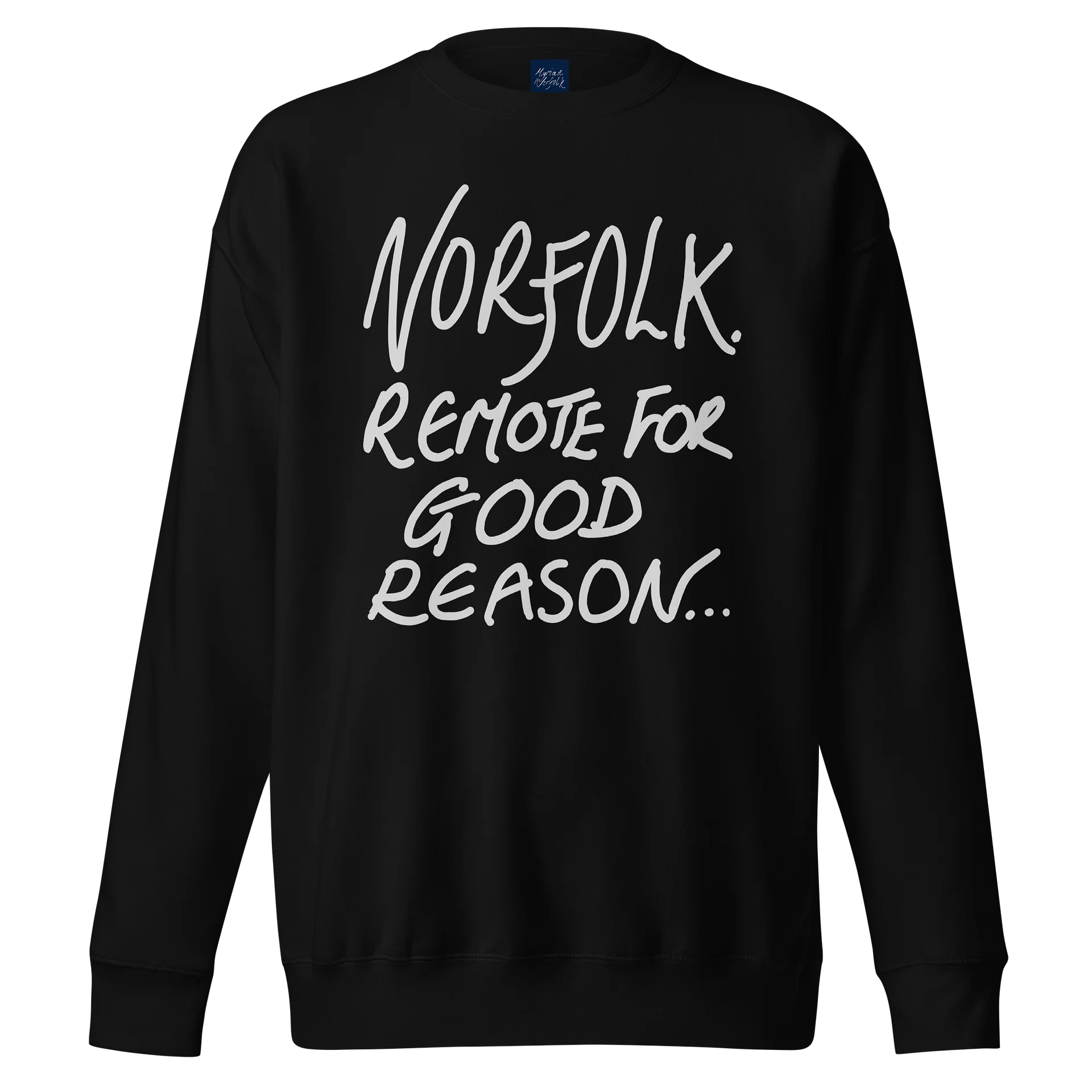 Norfolk. Remote for Good Reason. Premium Sweatshirt product image (13)