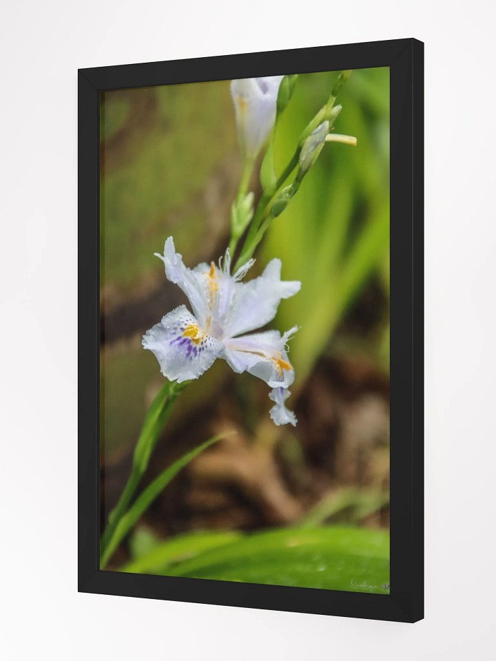 🌱Print Fine Art – The Whisper of Hidden Soil product image (2)