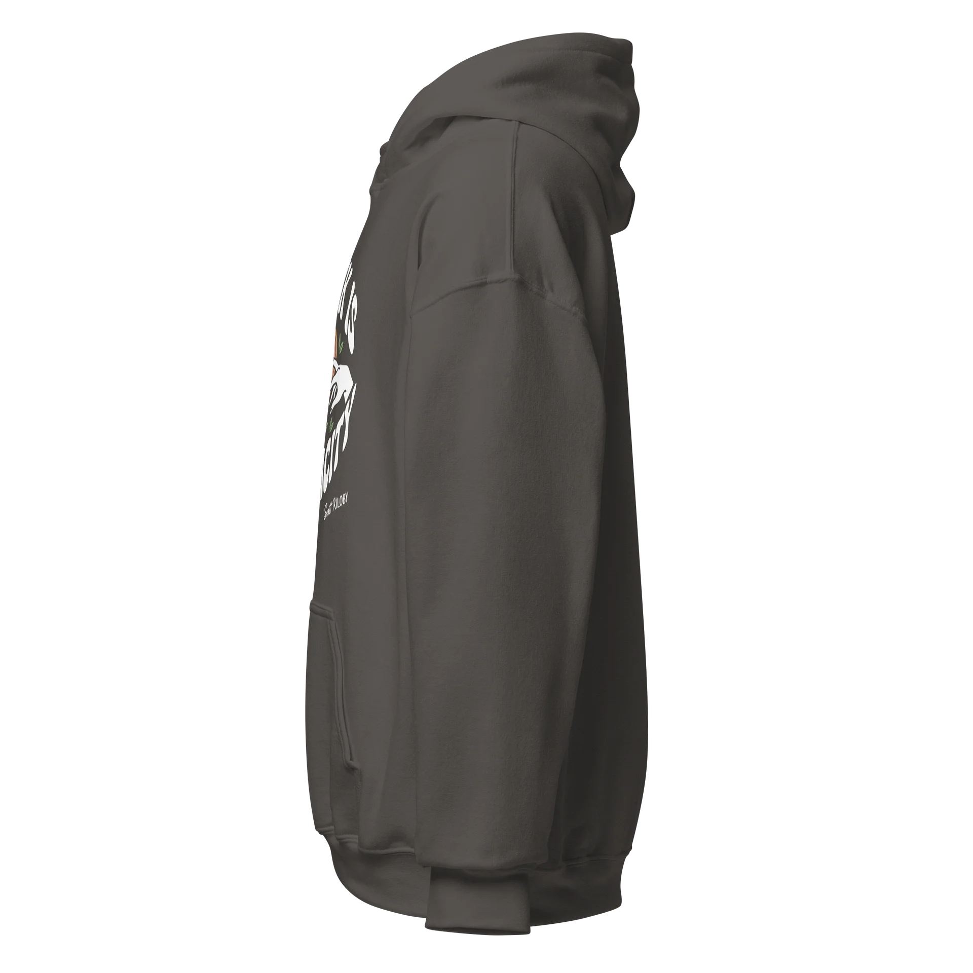 “My Kink Is Authenticity” Charcoal Classic Unisex Hoodie product image (3)