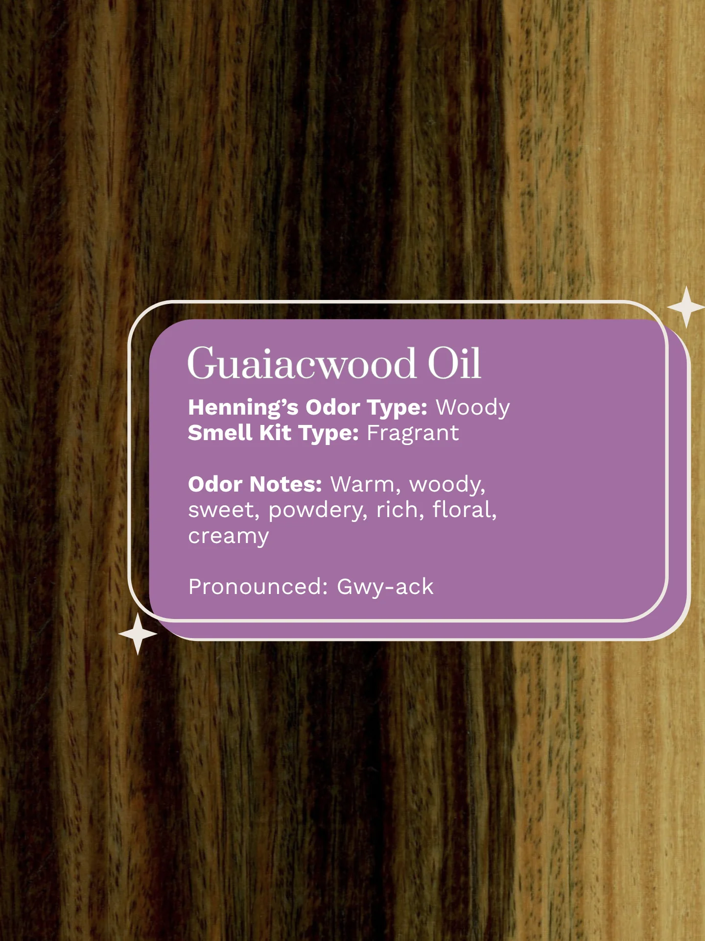 Olfaria Smell Training Kit | Set 1 | 5 Single-Note Essential Oils | Olfactory Training / Smell Loss product image (6)