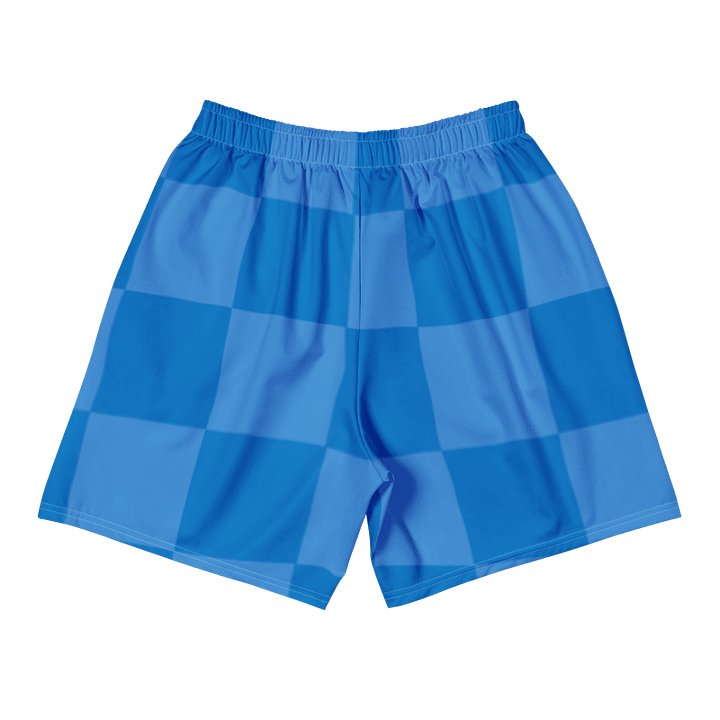 Checkered Athletic Shorts - Davis Blue product image (2)