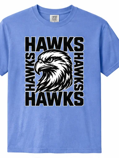 Hawks Squared Comfort Colors Shirt product image (1)
