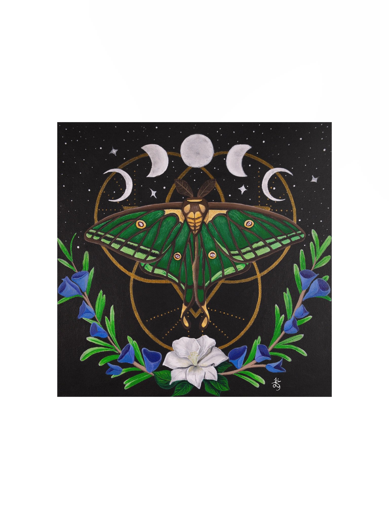 Spanish Moon Moth Original Art Print product image (1)