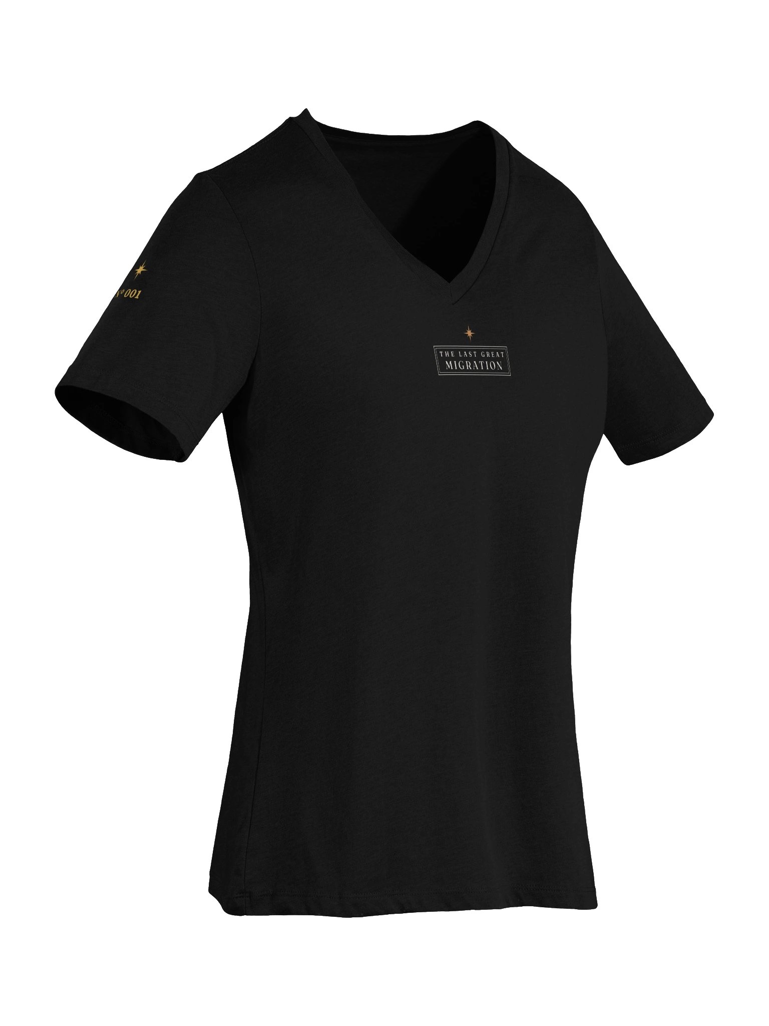 The She Moves History V Neck with Sleeve Stars (Women's) product image (6)