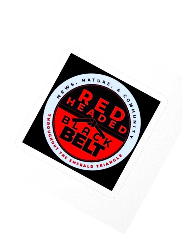 News Ninja Supporter - Redheaded Blackbelt sticker product image (2)
