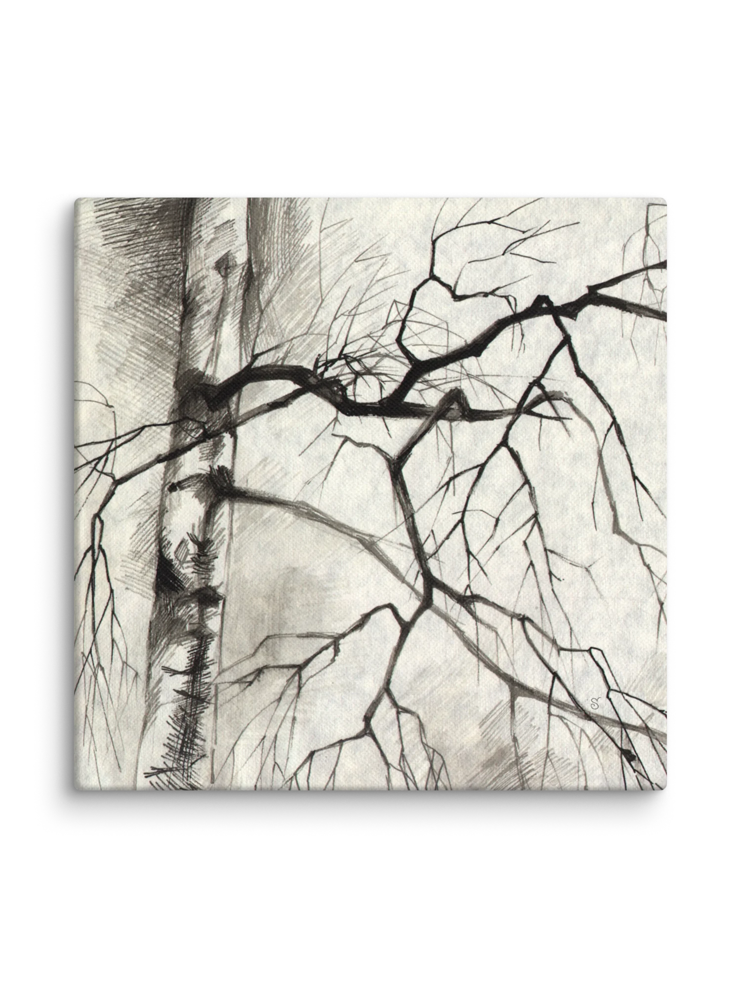 Birch Whispers Canvas - Birches product image (2)
